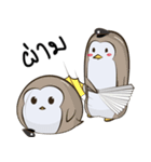 PenguinEXAM2（個別スタンプ：34）