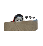 はるとん（個別スタンプ：9）