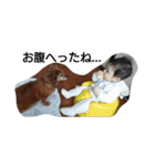 はるとん（個別スタンプ：20）
