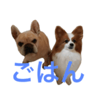 ブル＆りく（個別スタンプ：5）