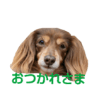 ひよりすたんぷ（個別スタンプ：3）