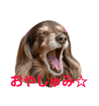ひよりすたんぷ（個別スタンプ：23）