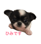 りゅさんとひみ（個別スタンプ：1）