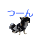 りゅさんとひみ（個別スタンプ：3）