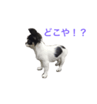 りゅさんとひみ（個別スタンプ：4）