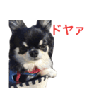りゅさんとひみ（個別スタンプ：7）