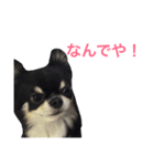 りゅさんとひみ（個別スタンプ：9）