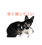 りゅさんとひみ（個別スタンプ：12）