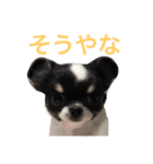 りゅさんとひみ（個別スタンプ：14）