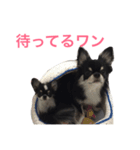 りゅさんとひみ（個別スタンプ：15）