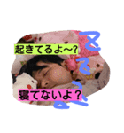 マッキィースタンプ（個別スタンプ：6）