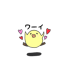 はじめましてピヨ岸です。【日常編】（個別スタンプ：11）