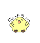 はじめましてピヨ岸です。【日常編】（個別スタンプ：13）