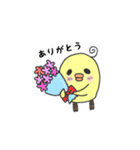 はじめましてピヨ岸です。【日常編】（個別スタンプ：40）