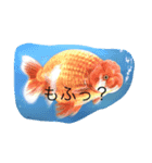 動物館 1（個別スタンプ：5）