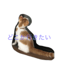 うちのケビン（個別スタンプ：2）