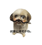 わんわんふらん（個別スタンプ：3）