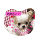 極小ミーちゃん（個別スタンプ：2）