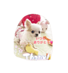 極小ミーちゃん（個別スタンプ：3）