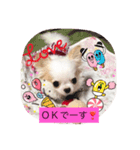 極小ミーちゃん（個別スタンプ：6）