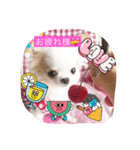 極小ミーちゃん（個別スタンプ：9）