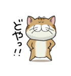 ぶちゃとらにゃんこ（関西弁多め）（個別スタンプ：12）