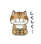 ぶちゃとらにゃんこ（関西弁多め）（個別スタンプ：13）