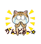 ぶちゃとらにゃんこ（関西弁多め）（個別スタンプ：17）