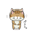 ぶちゃとらにゃんこ（関西弁多め）（個別スタンプ：19）