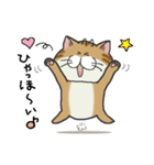 ぶちゃとらにゃんこ（関西弁多め）（個別スタンプ：20）
