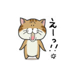 ぶちゃとらにゃんこ（関西弁多め）（個別スタンプ：23）