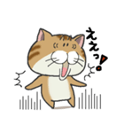ぶちゃとらにゃんこ（関西弁多め）（個別スタンプ：25）