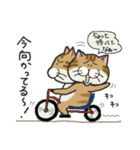 ぶちゃとらにゃんこ（関西弁多め）（個別スタンプ：31）
