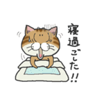 ぶちゃとらにゃんこ（関西弁多め）（個別スタンプ：35）