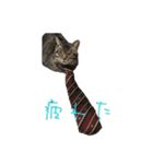 愛すべき無愛想みい子（個別スタンプ：21）