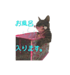 愛すべき無愛想みい子（個別スタンプ：23）