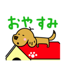 ミックス犬 チャピ 3（個別スタンプ：14）