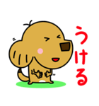 ミックス犬 チャピ 3（個別スタンプ：23）