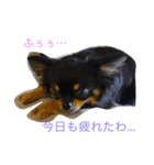 リンの日常（個別スタンプ：1）