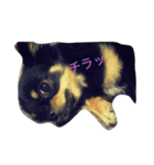リンの日常（個別スタンプ：5）