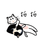 KT Cat（個別スタンプ：9）