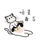 KT Cat（個別スタンプ：12）