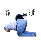KT Cat（個別スタンプ：22）