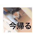 たいようくんの毎日（個別スタンプ：40）