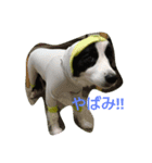 ボーダーコリーのマイロ（個別スタンプ：7）