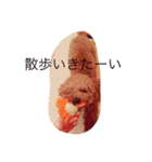 ワンコの写真スタンプ（個別スタンプ：3）