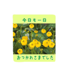 大人の女性が使う   ※花スタンプ※（個別スタンプ：9）