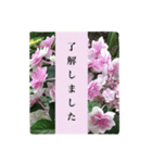 大人の女性が使う   ※花スタンプ※（個別スタンプ：10）
