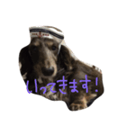 だらだら犬 りん（個別スタンプ：3）