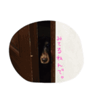だらだら犬 りん（個別スタンプ：14）